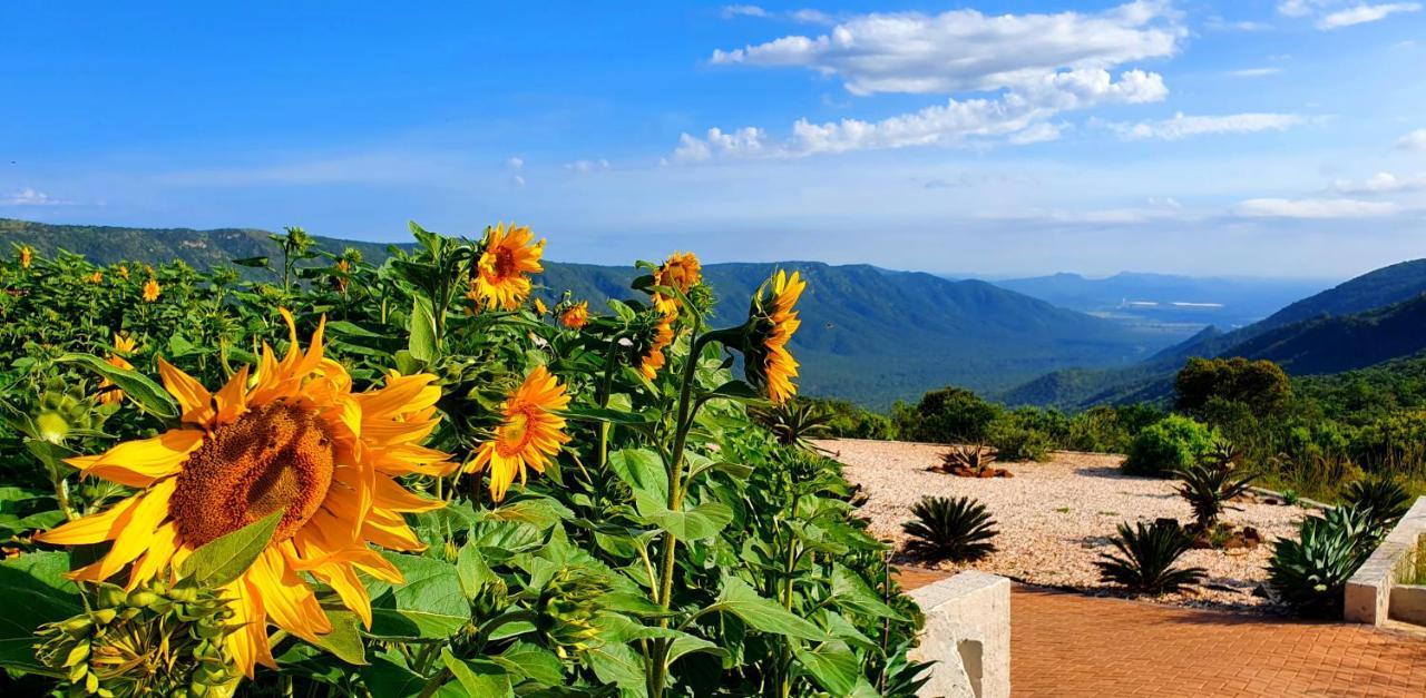 Graceland Eco Retreat 마고에바스클루프 외부 사진