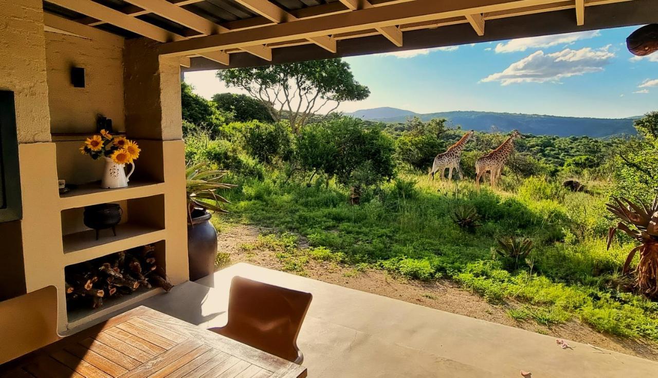 Graceland Eco Retreat 마고에바스클루프 외부 사진