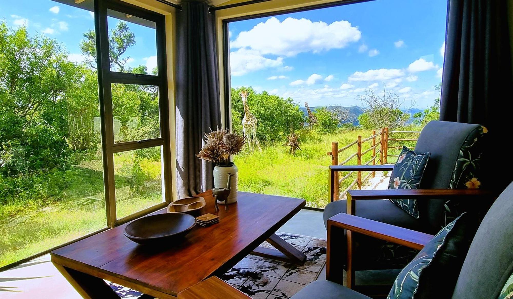 Graceland Eco Retreat 마고에바스클루프 외부 사진