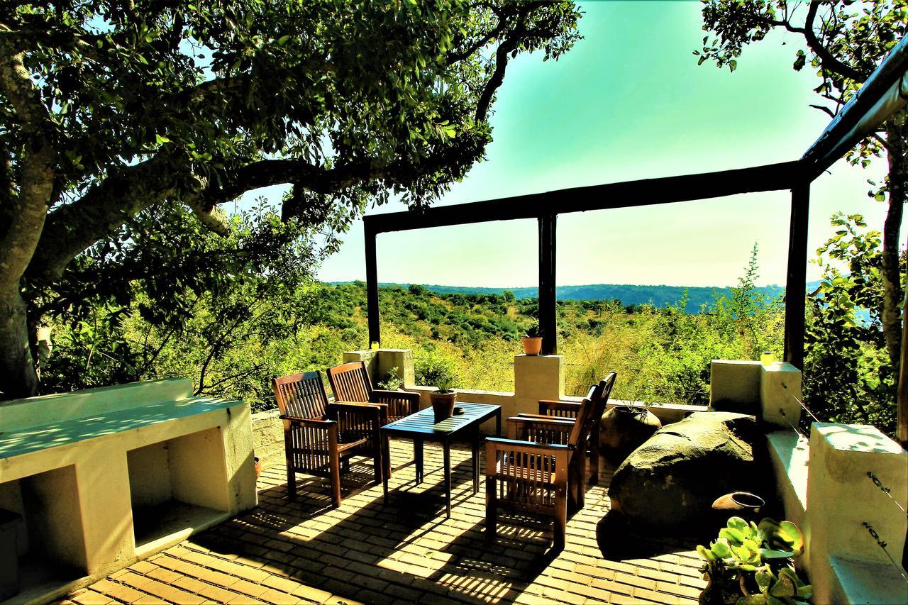 Graceland Eco Retreat 마고에바스클루프 외부 사진