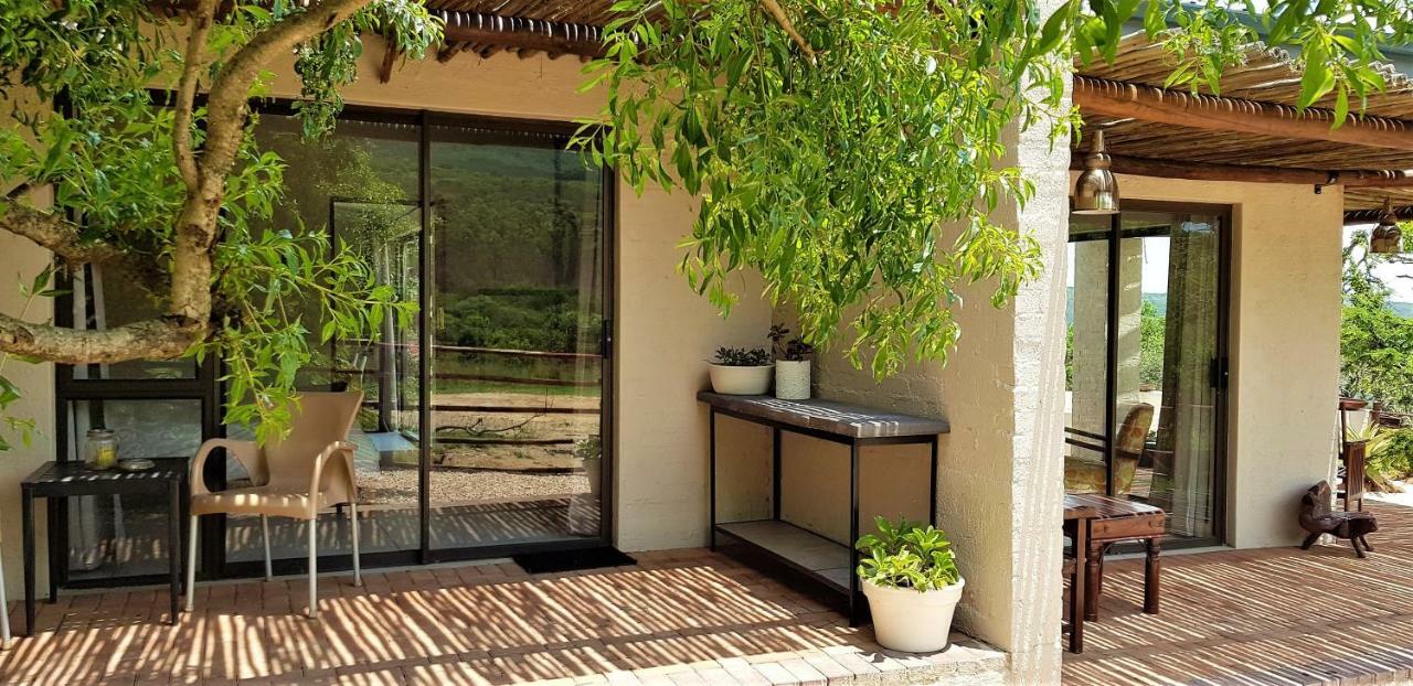 Graceland Eco Retreat 마고에바스클루프 외부 사진